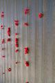 Wall of Rememberance