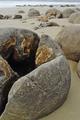 Moeraki Boulders