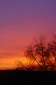 Sunset in Holland