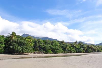 Tropical Beach