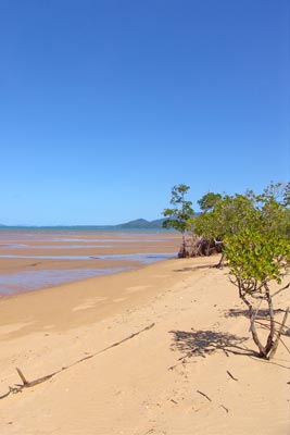 Beach in Queensland