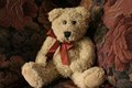 Teddy
