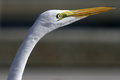 Got My Eye On You