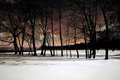 Treeline