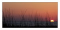 Fort De Soto Sunset 