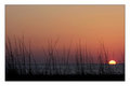 Fort DeSoto Florida