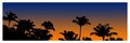 Sunset Palms