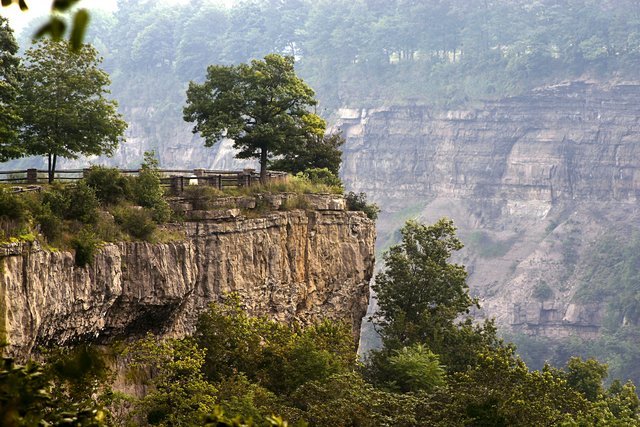 The Overlook