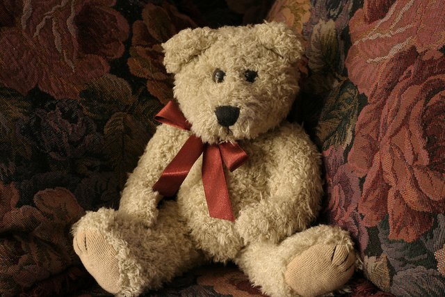 Teddy
