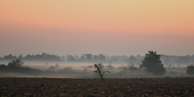Morning Mist