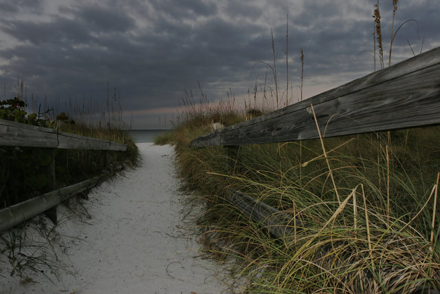 Beach Trail