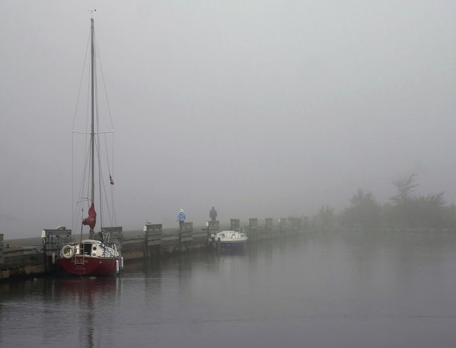 fogged In