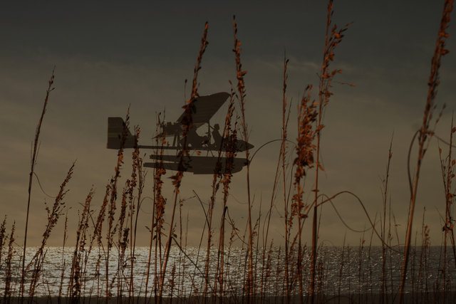 Thru the Sea oats