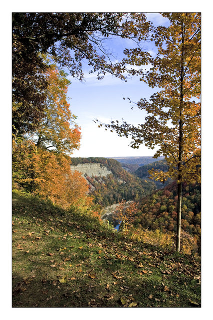 Letchworth Colors