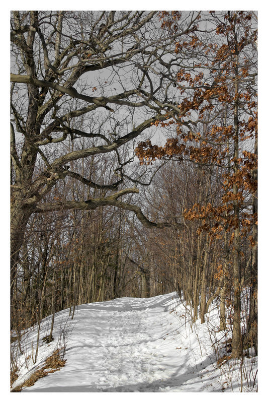 Bruce Trail