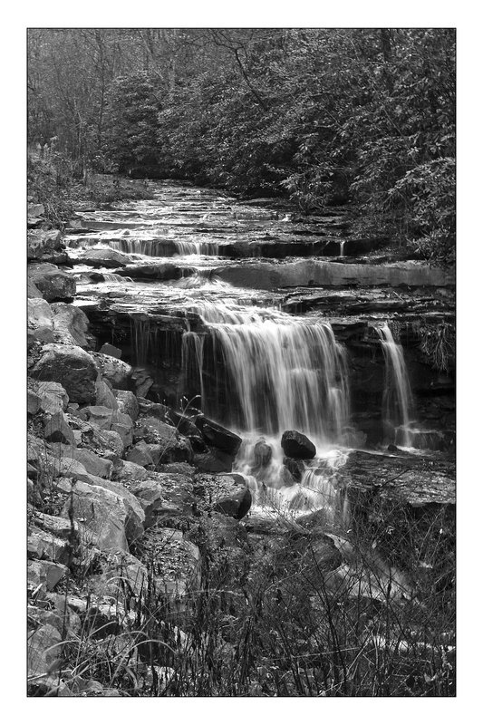 Autumn Stream