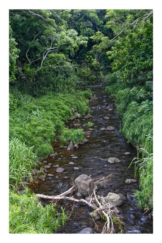 Honokolau Stream Maui 2010
