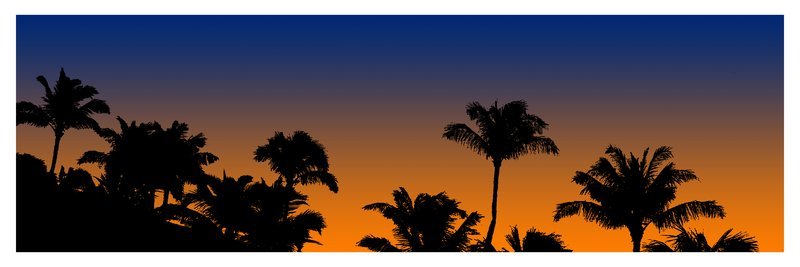 Sunset Palms