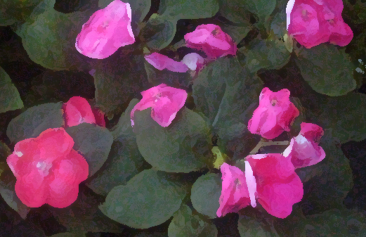Digital Pink
