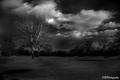 Earth and Sky