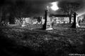 Grave Light 3