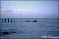 Sea Side Silhouettes