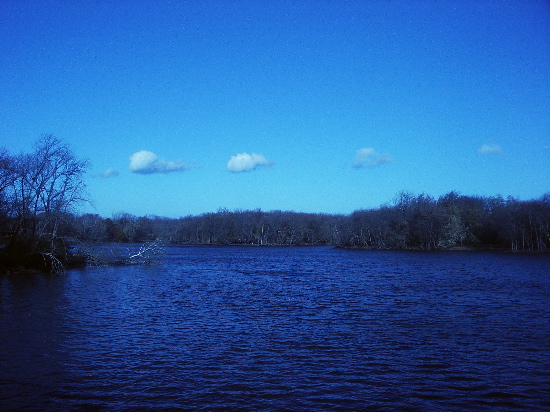 blue wood/lake.JPG