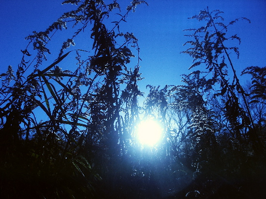 Blue Sun Rise
