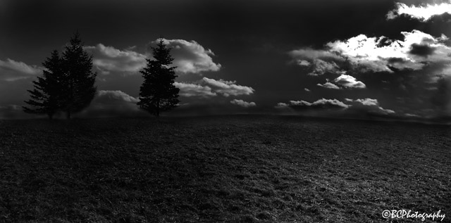 Over The Crest