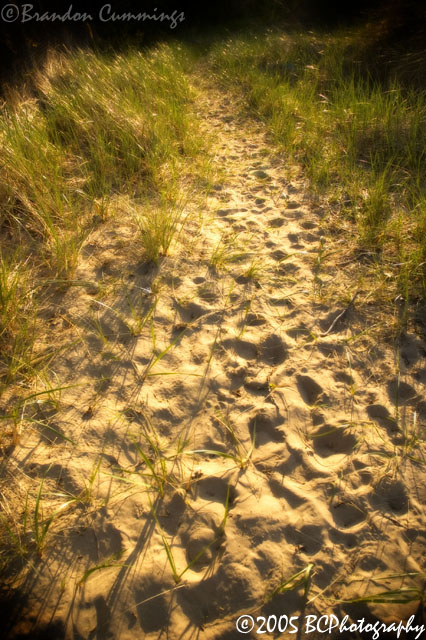 The Path Less Traveled?