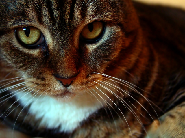 DSC04191_f_web.jpg