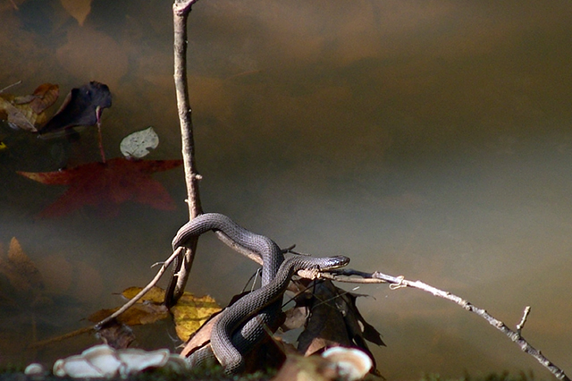 DSC04462_web.jpg
