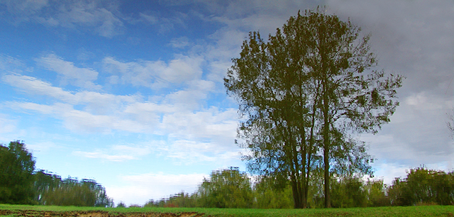 DSC06138_e_web.jpg