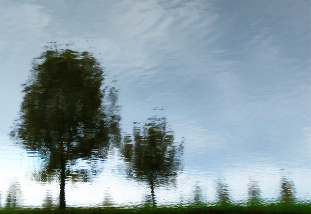 DSC06179e_web.jpg