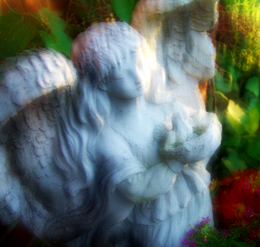 DSC06385b_web.jpg