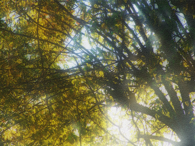DSC06399b_web.jpg