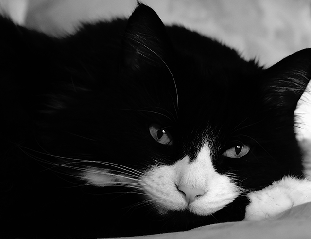 DSC06309_filtered_web.jpg
