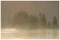 Tranquil Sunrise II