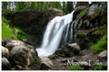 Moose Falls