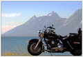 Live to Ride