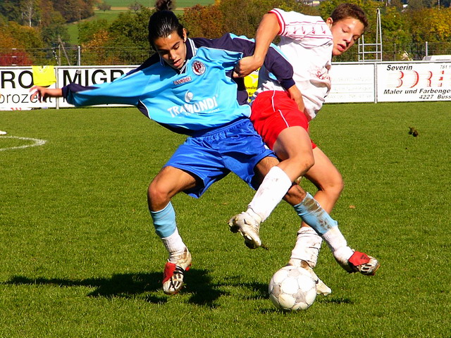 P1040658x.jpg