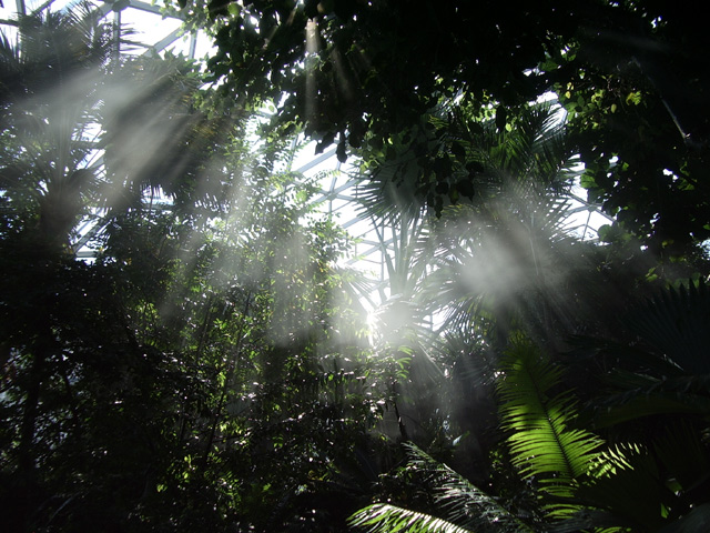 Sunrays.jpg