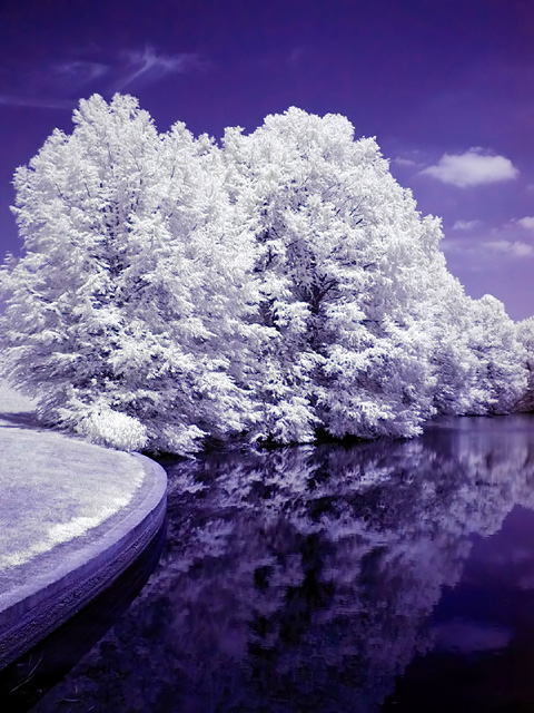 Nature-Reserve.jpg