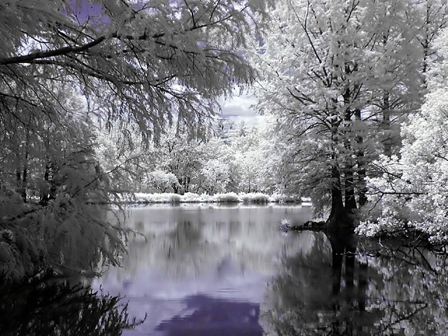 Lake-in-Infrared.jpg