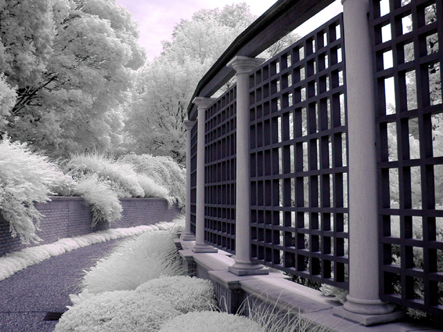 Botanical-Gardens.jpg