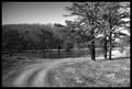 Road By The Lake