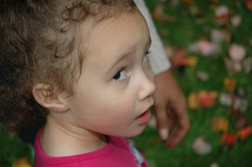 Picture 210.jpg
