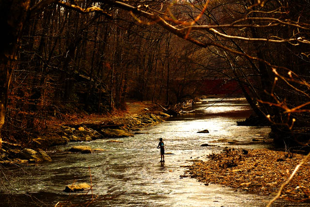 The River