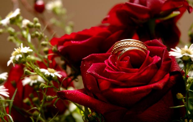 rings4.jpg
