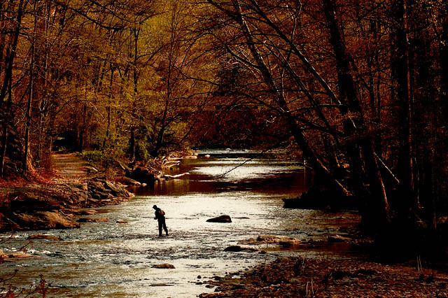 fisherman4.jpg